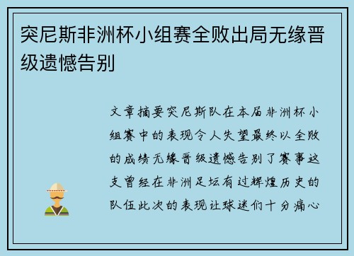 突尼斯非洲杯小组赛全败出局无缘晋级遗憾告别